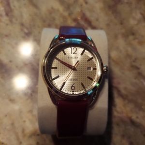 Citizens Eco Drive Ladies Watch